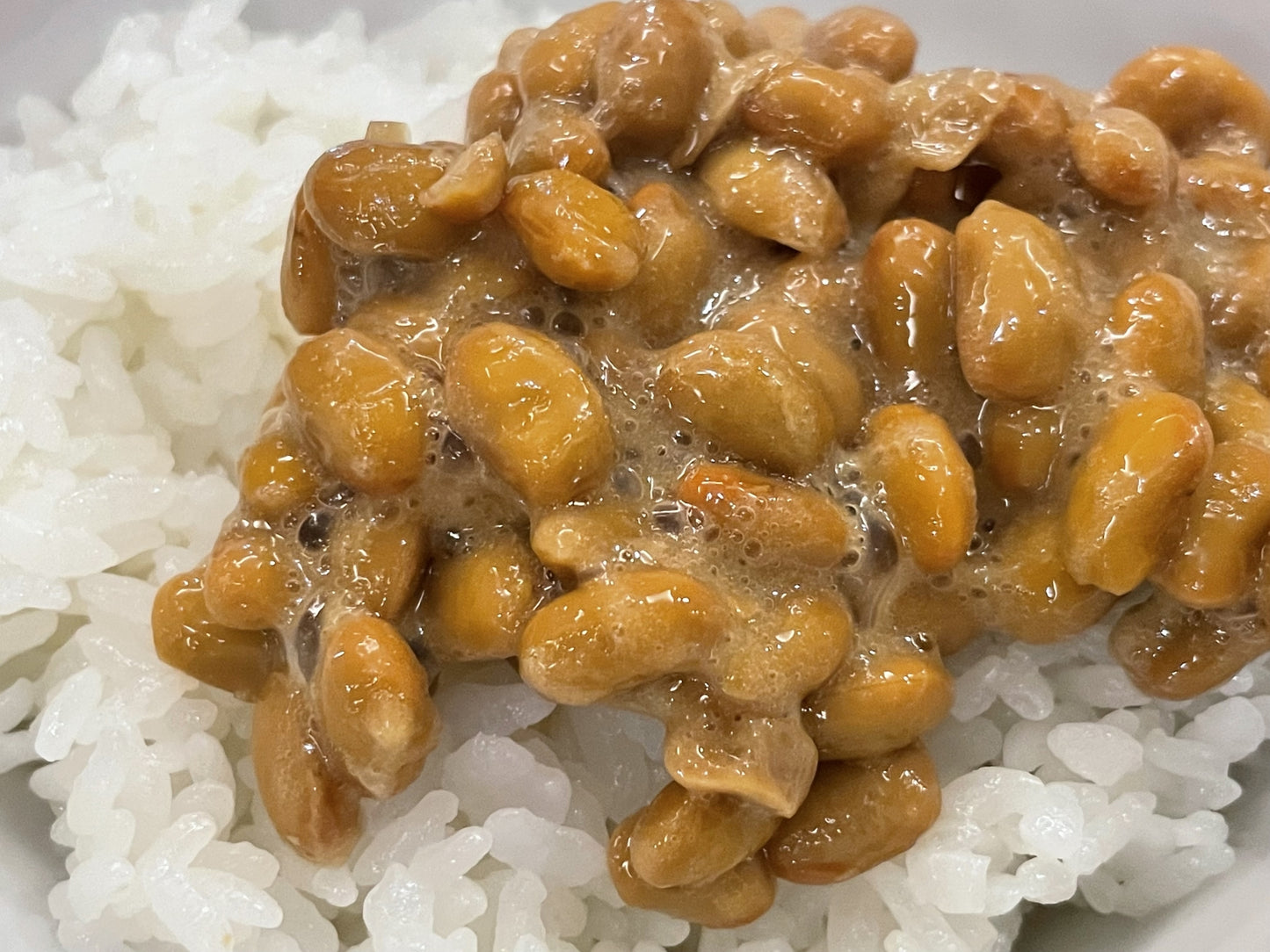 納豆キナーゼ【血流改善/血栓症予防/コレステロール値を下げる】 240粒