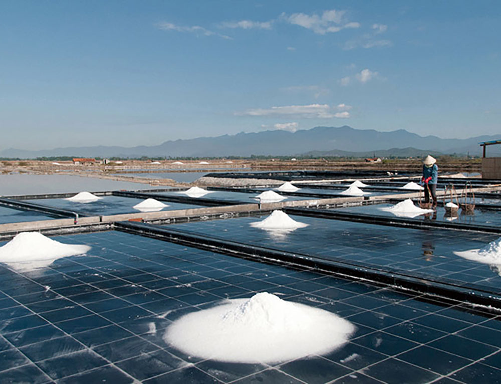カンホアの塩 500g ベトナムの天日塩