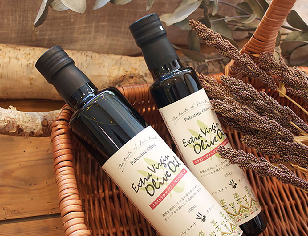 パレスチナエクストラヴァージン オリーブオイル 500cc|ガリラヤのシンディアナ
