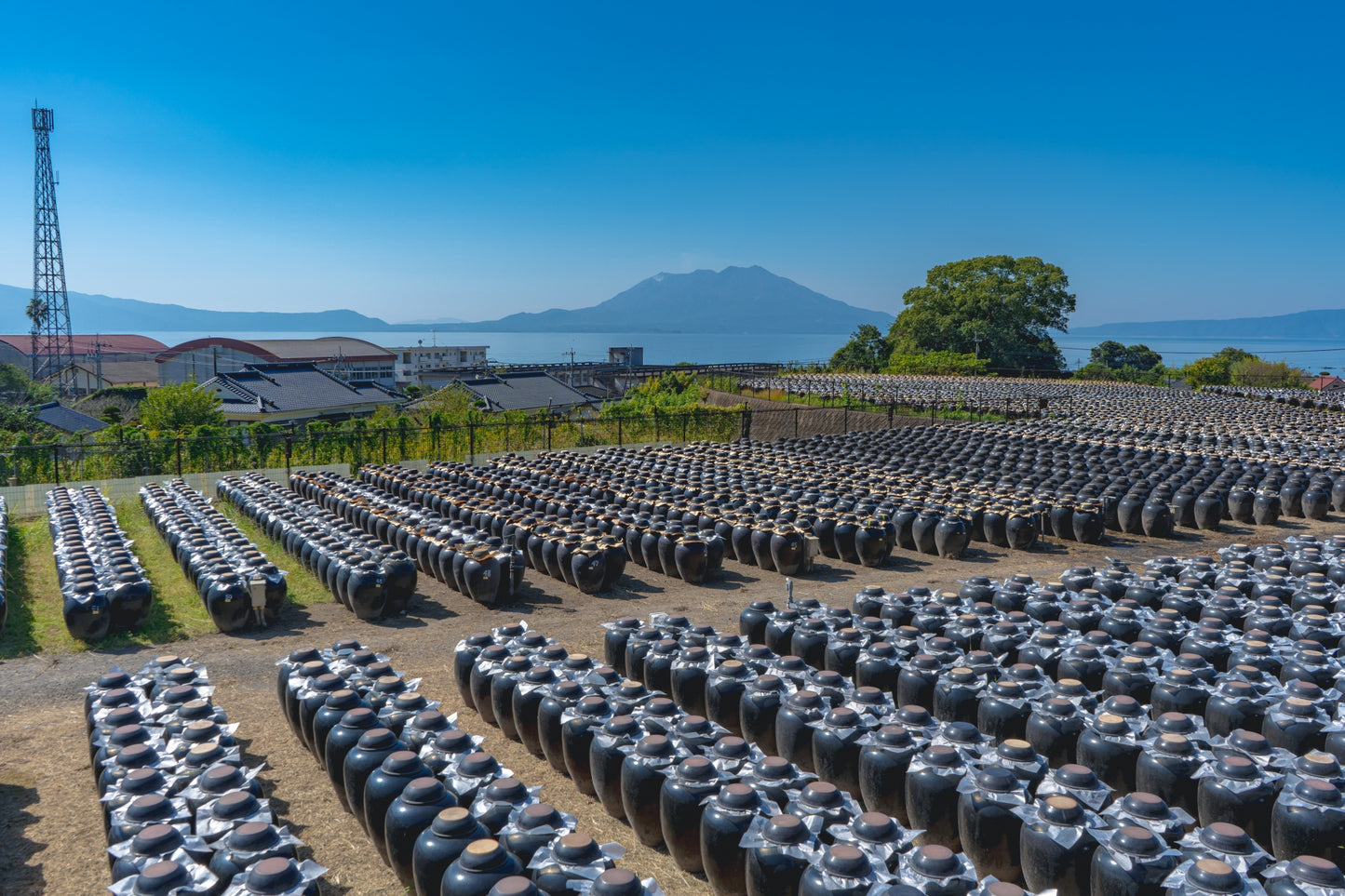 発売記念20％OFF：南国薩摩の生まれの玄米黒酢3本セット