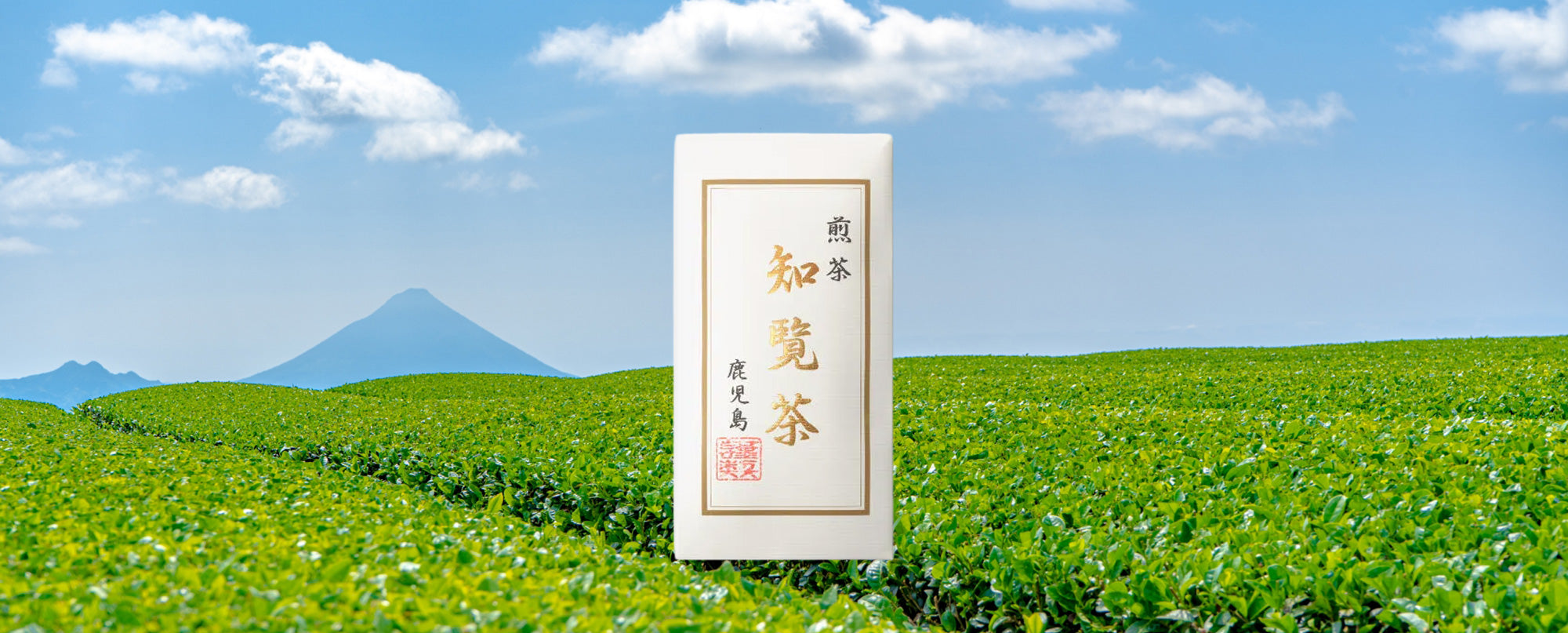 知覧茶