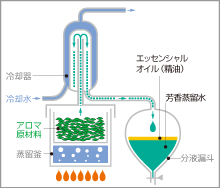 水蒸気蒸留法