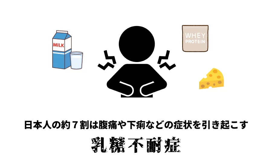 プロテインを飲んで、お腹を壊したことありませんか？